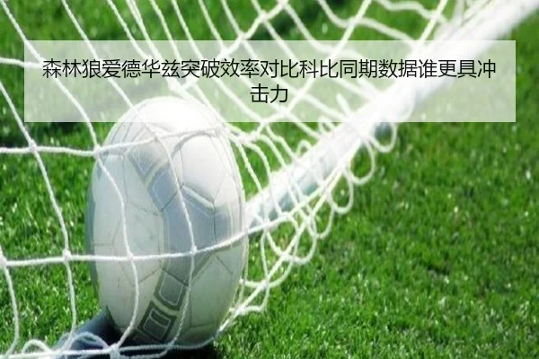 森林狼爱德华兹突破效率对比科比同期数据谁更具冲击力