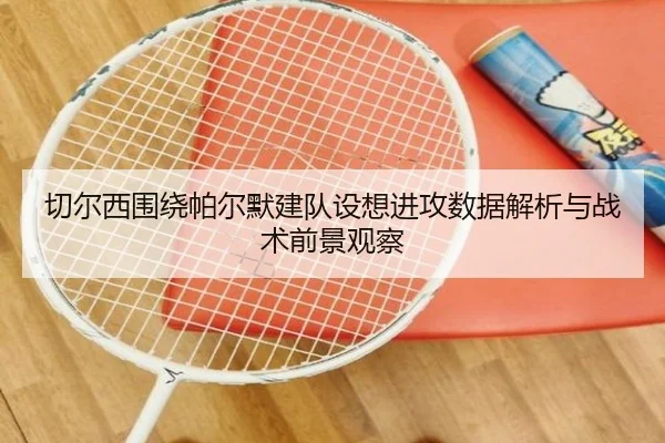 切尔西围绕帕尔默建队设想进攻数据解析与战术前景观察 | c7c7